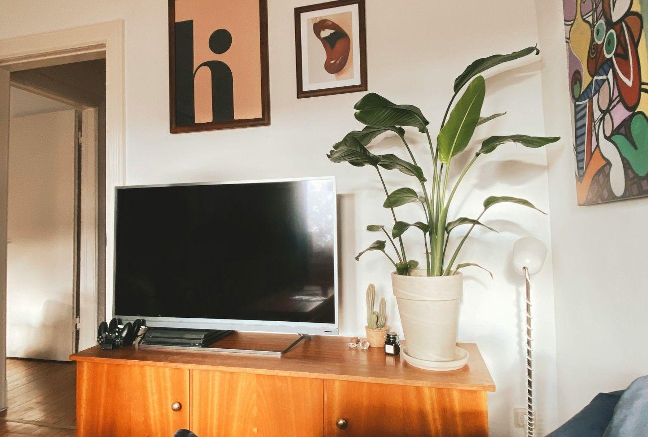 De psychologie van kleur in wanddecoratie: zo kies je de juiste tint