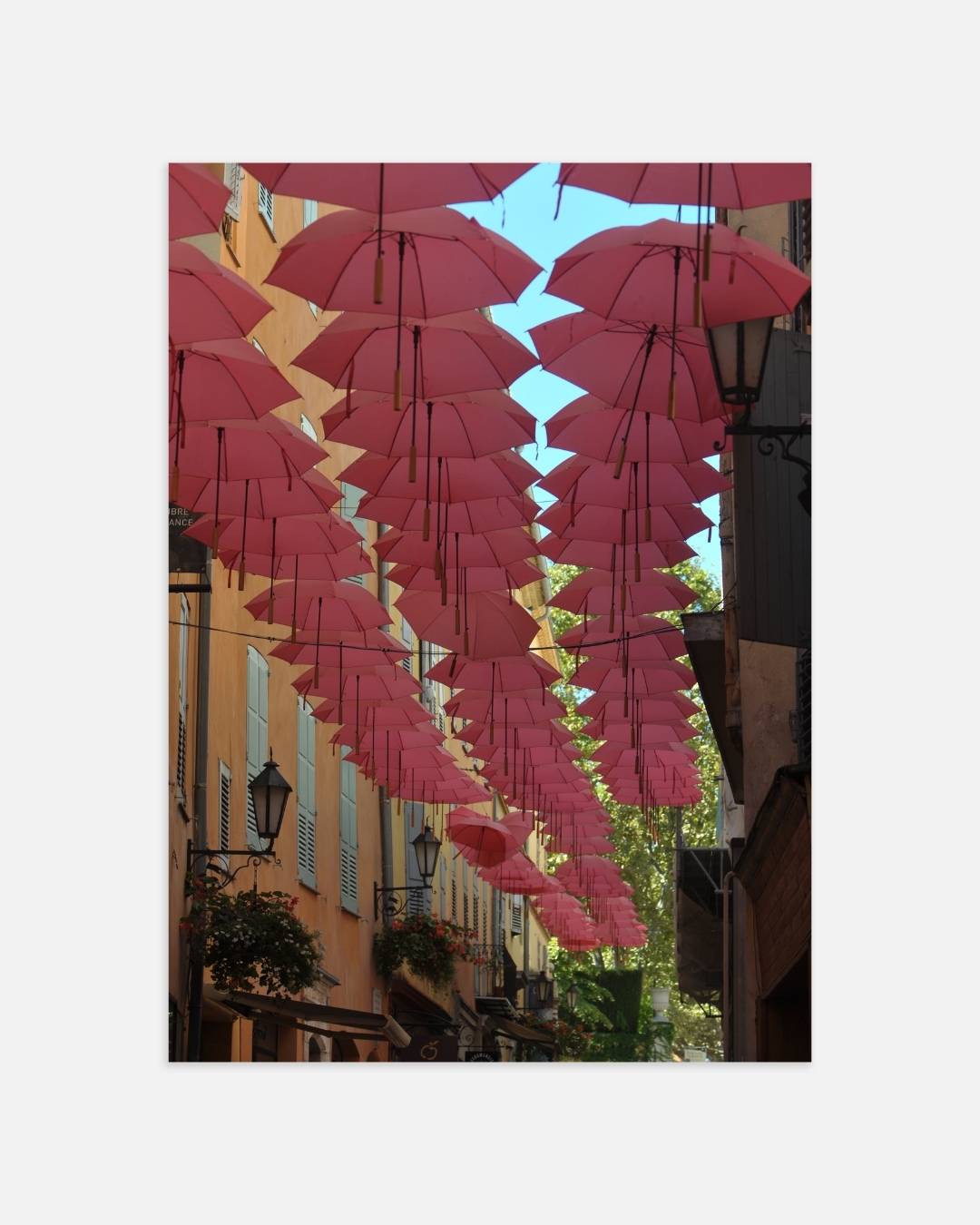 Roze paraplu's boven een zonnige straat Poster