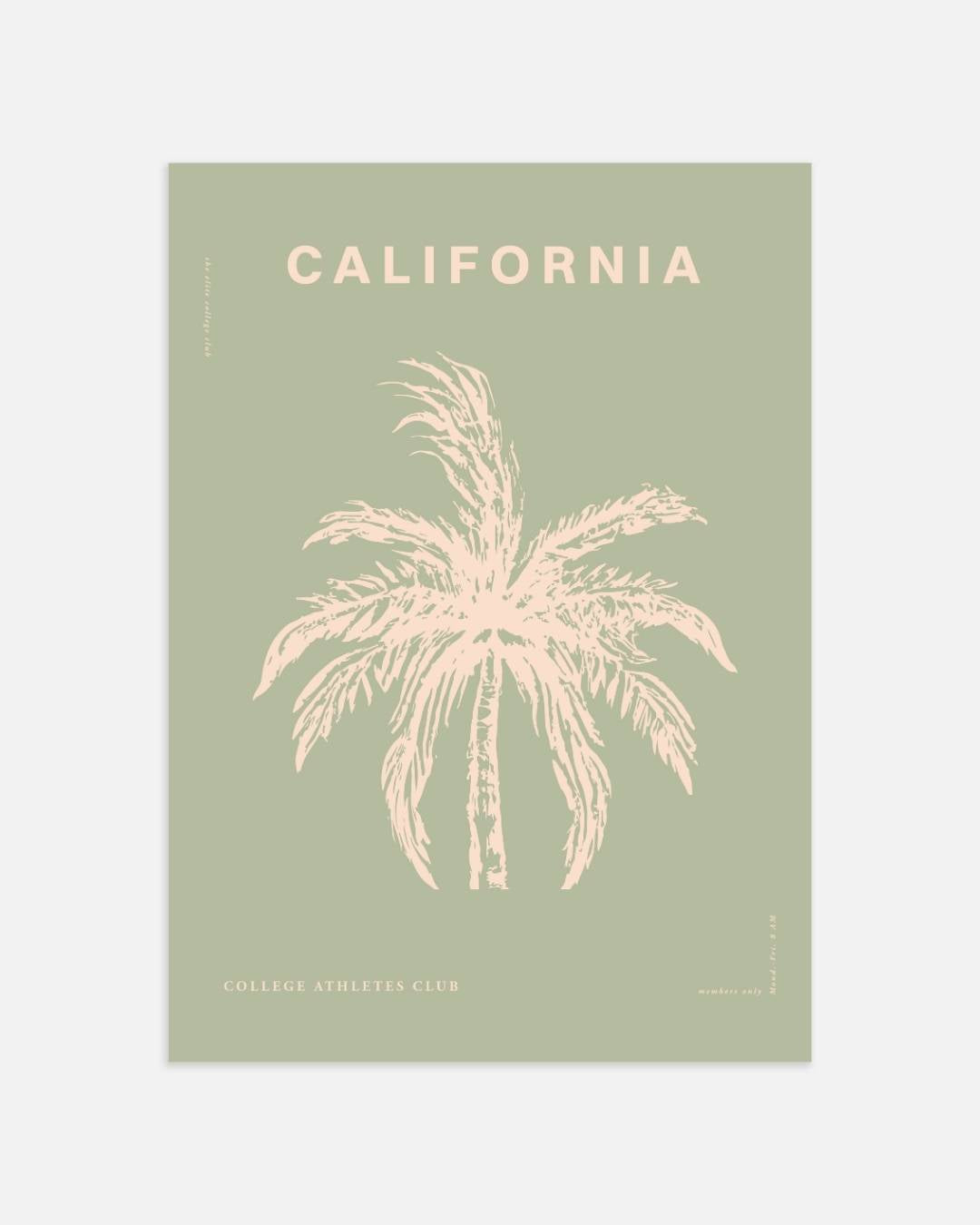 California palmboom Poster