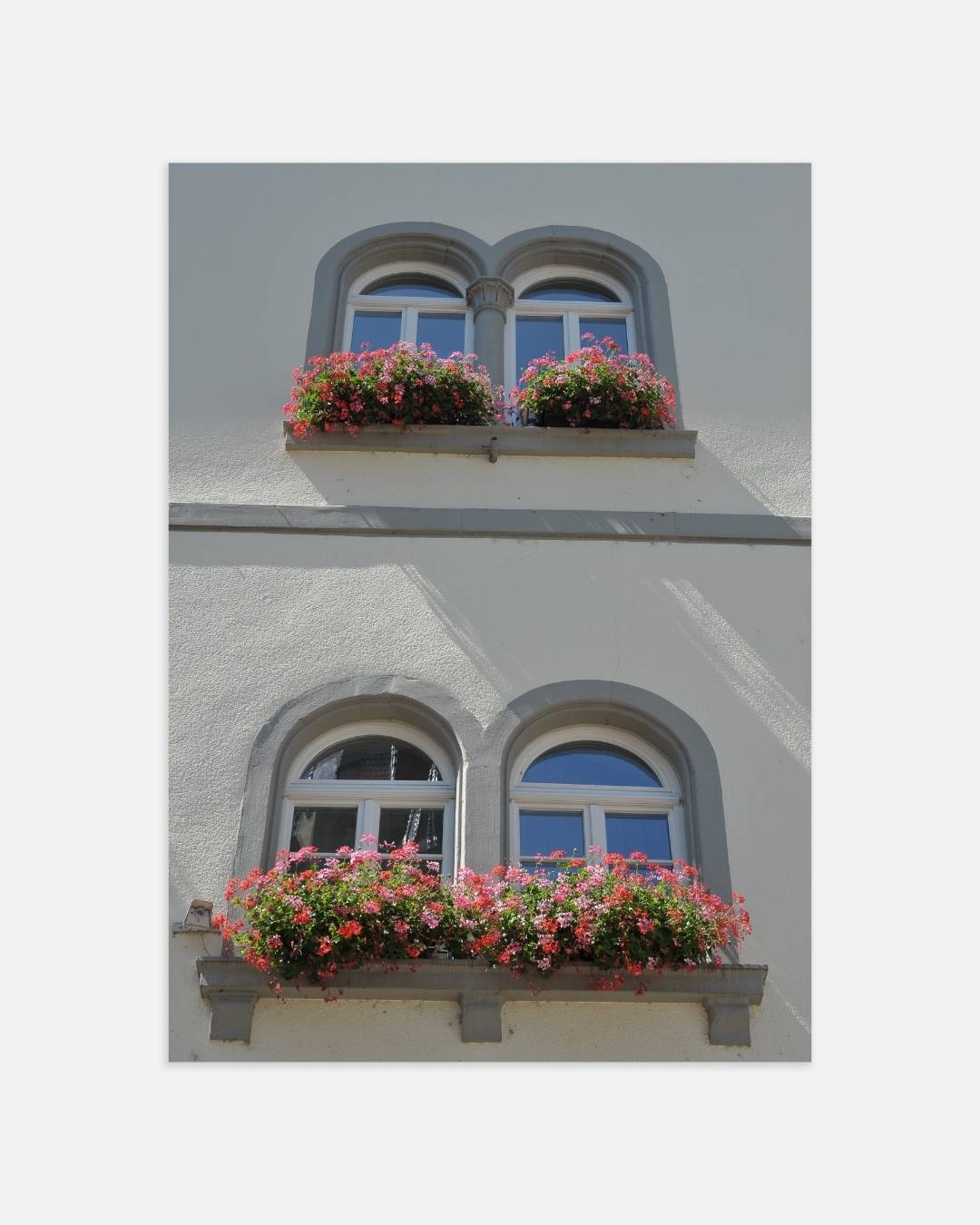 Bloeiende ramen met klassieke boogvormen Poster