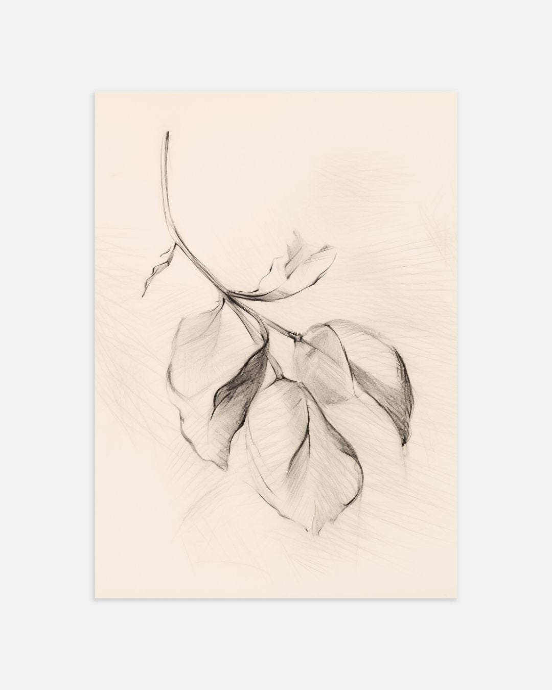 Botanical Sketches Poster Set