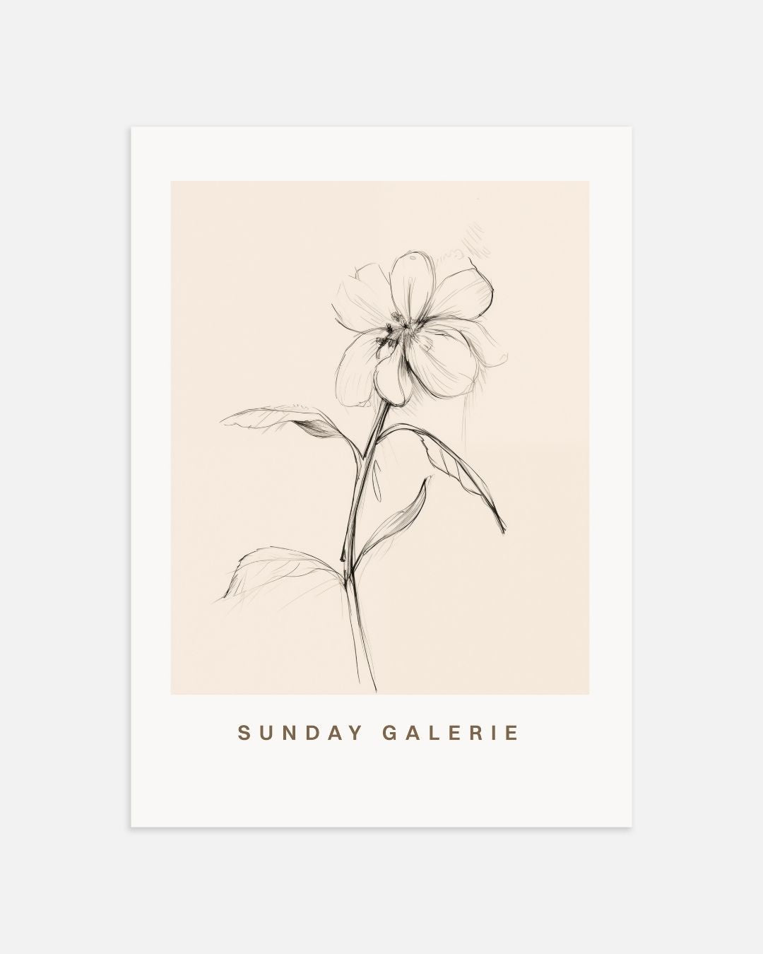 Botanische kunst Posterset