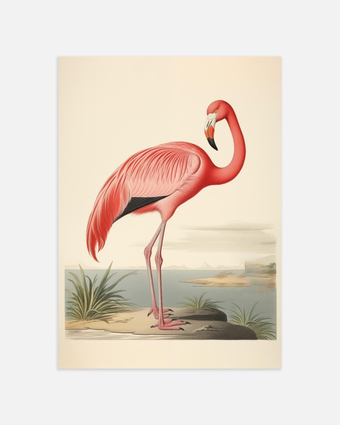 Tropisches Flamingo-Poster