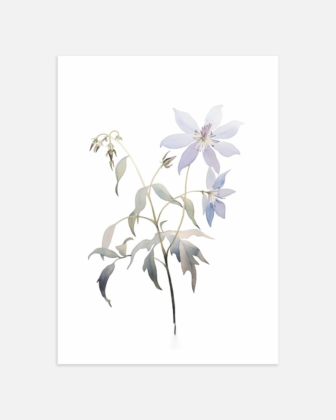 Prachtige blauwe bloem Poster