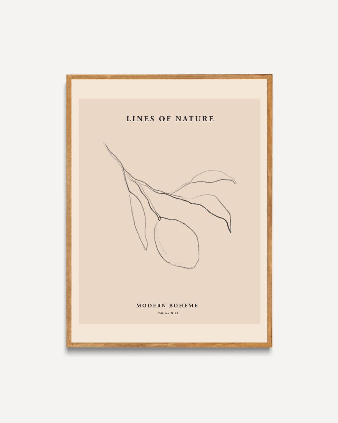Lines of nature Poster