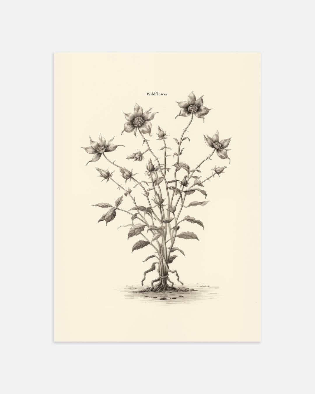 Wildflower Poster