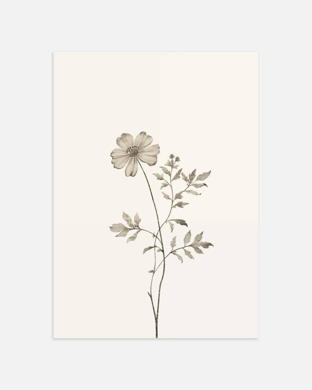 Botanical Flower Poster