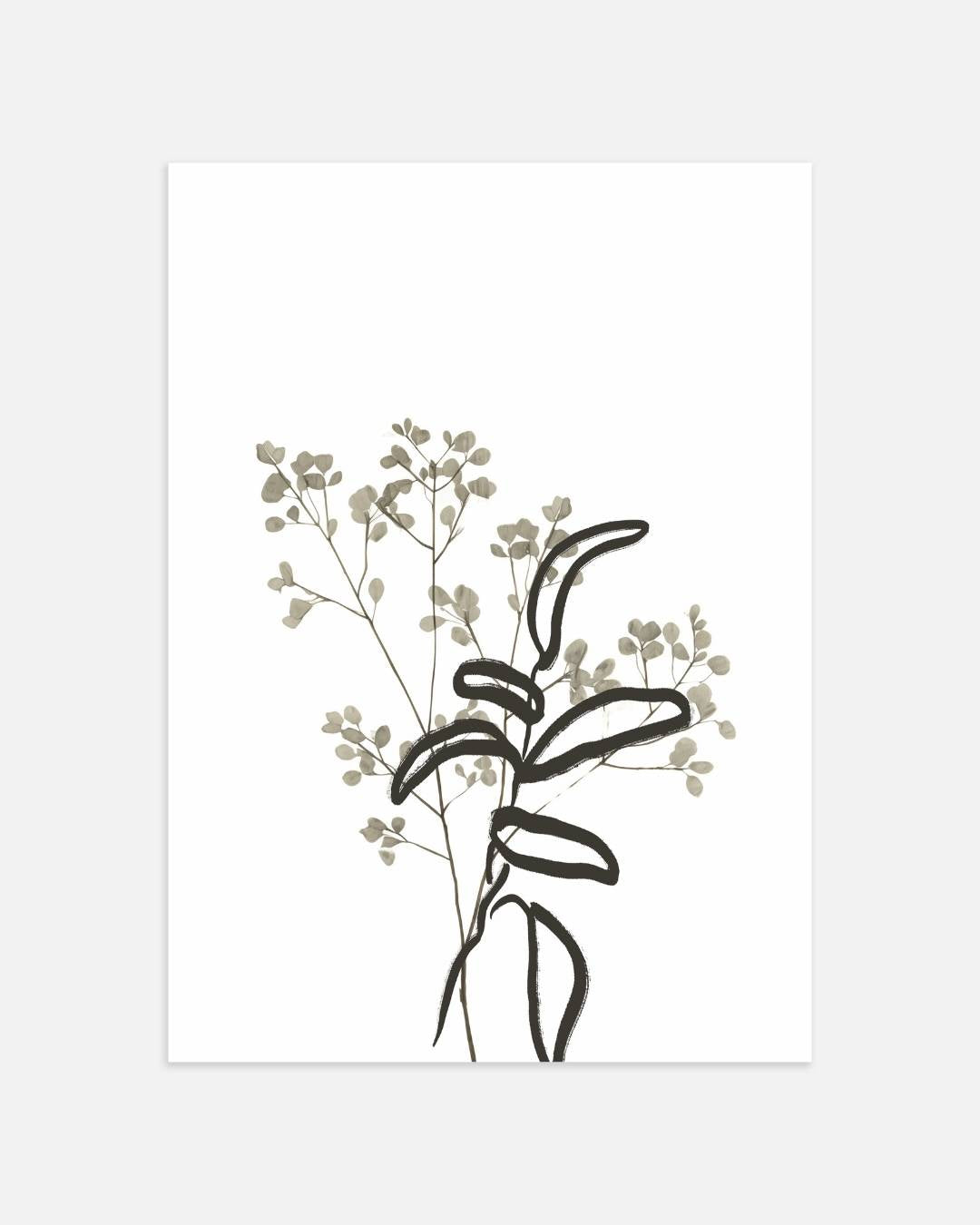 Botanische lijnen en bladeren Poster