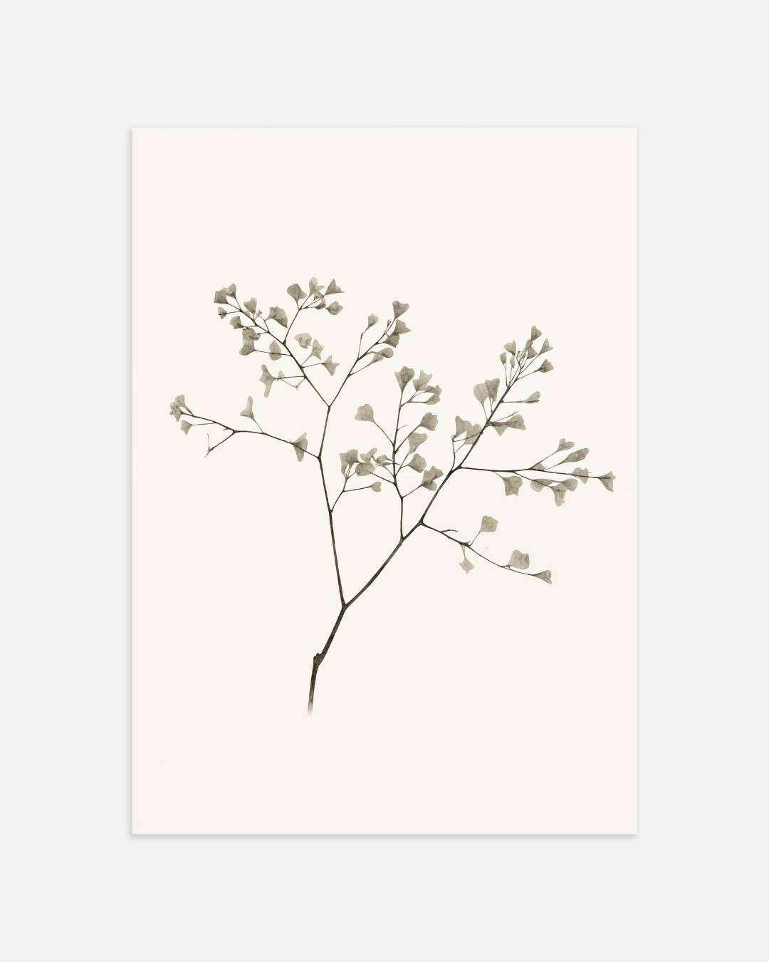 Minimalistische botanische tak Poster