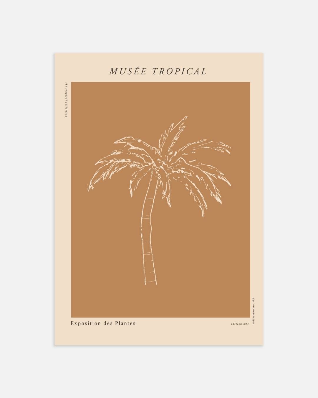 Botanische palmboom Poster