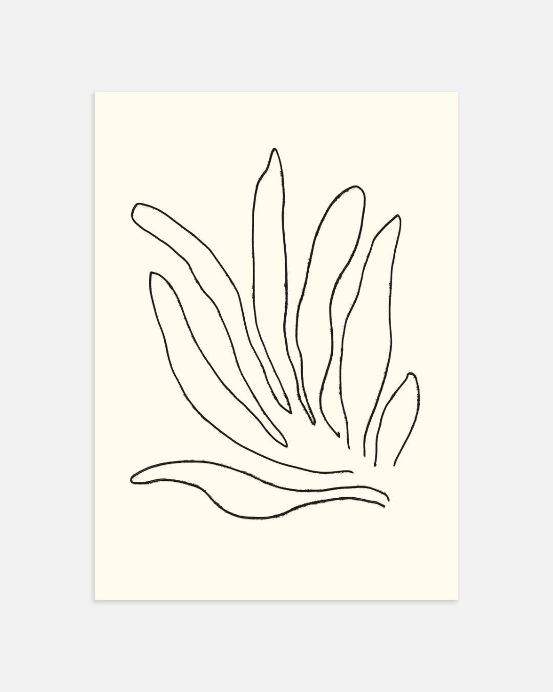 Botanische lijntekening Poster