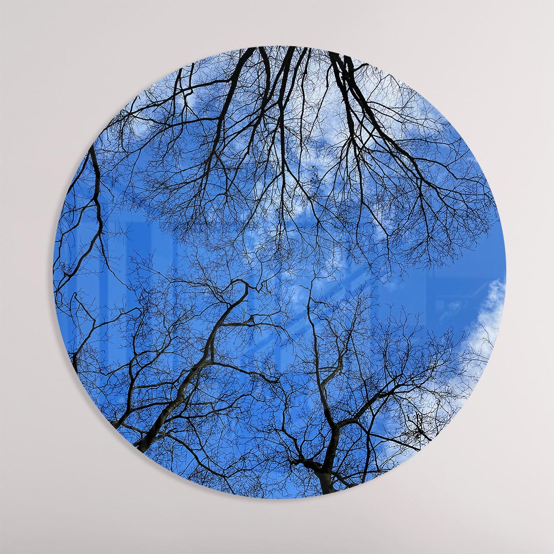Blauwe Lucht en Boomtakken Muurcirkel
