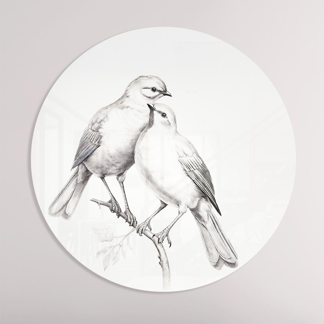Knuffelende Vogels Muurcirkel