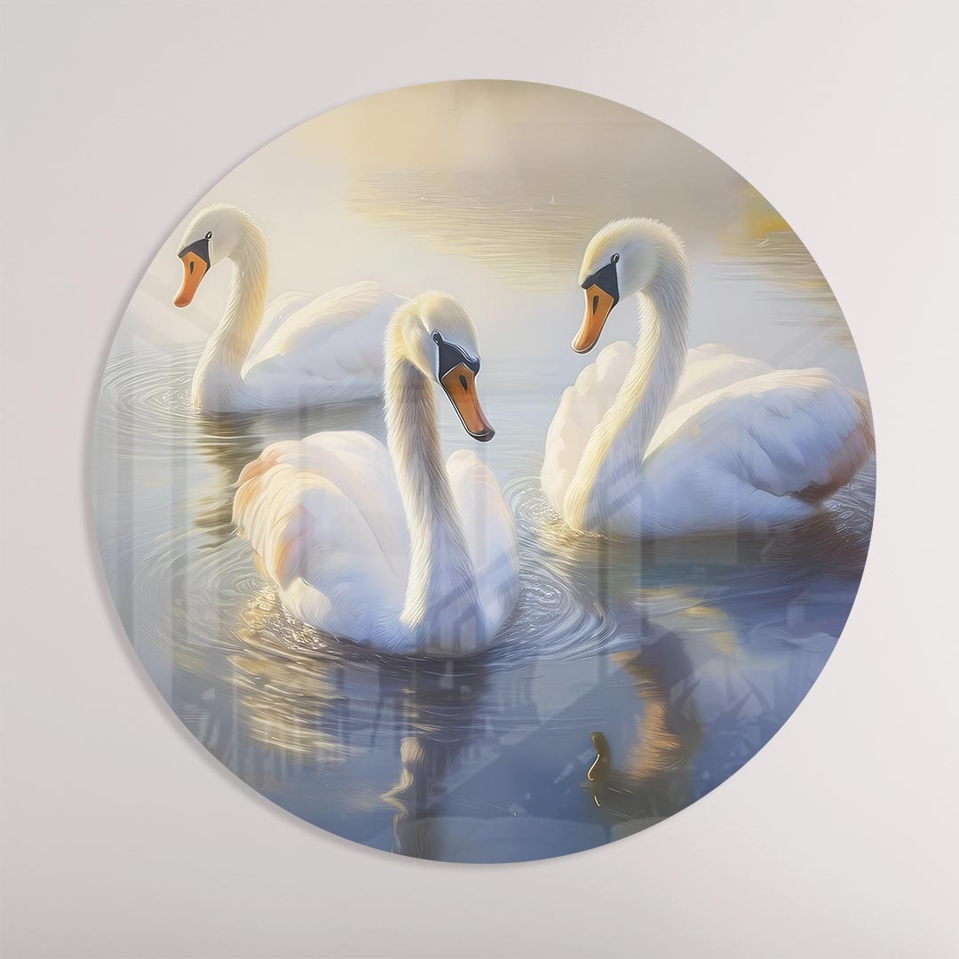 Elegante Zwanen in Ochtendnevel Muurcirkel