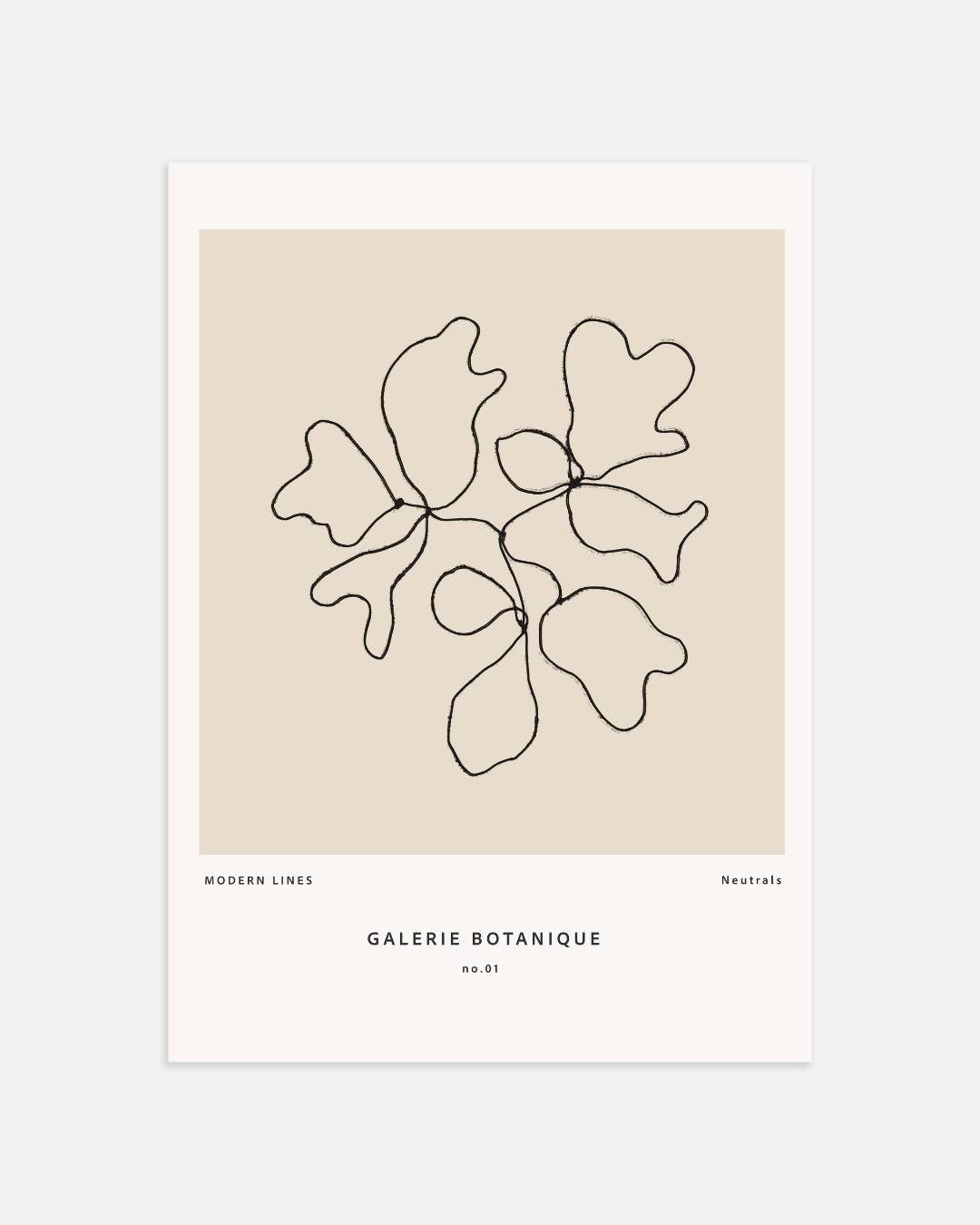 Galerie Botanique abstract lines Poster