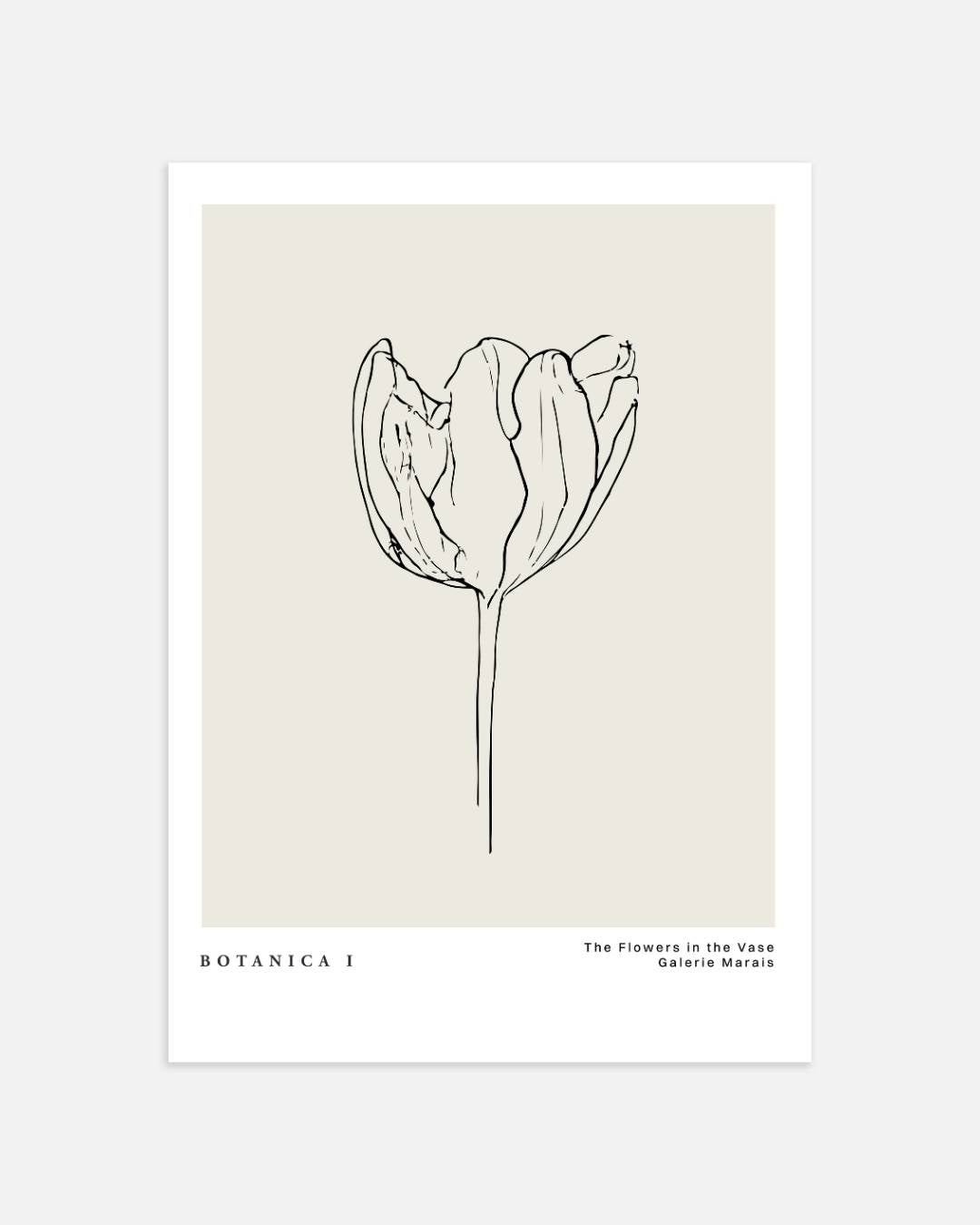 Tulp lijntekening Poster