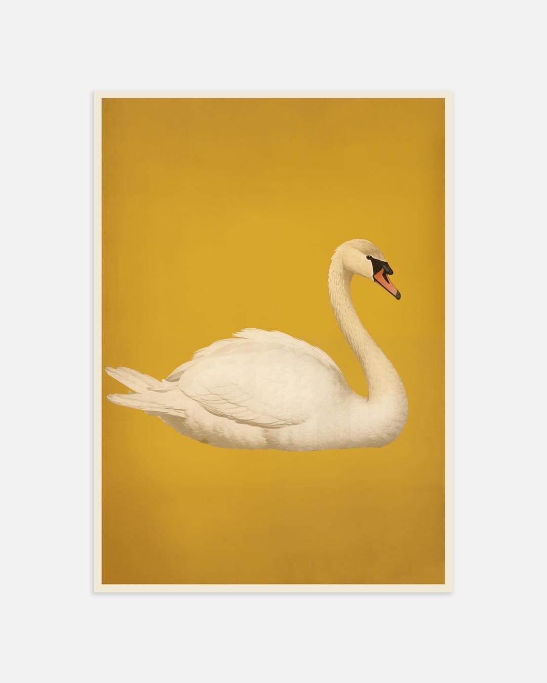 Elegante zwaan Poster
