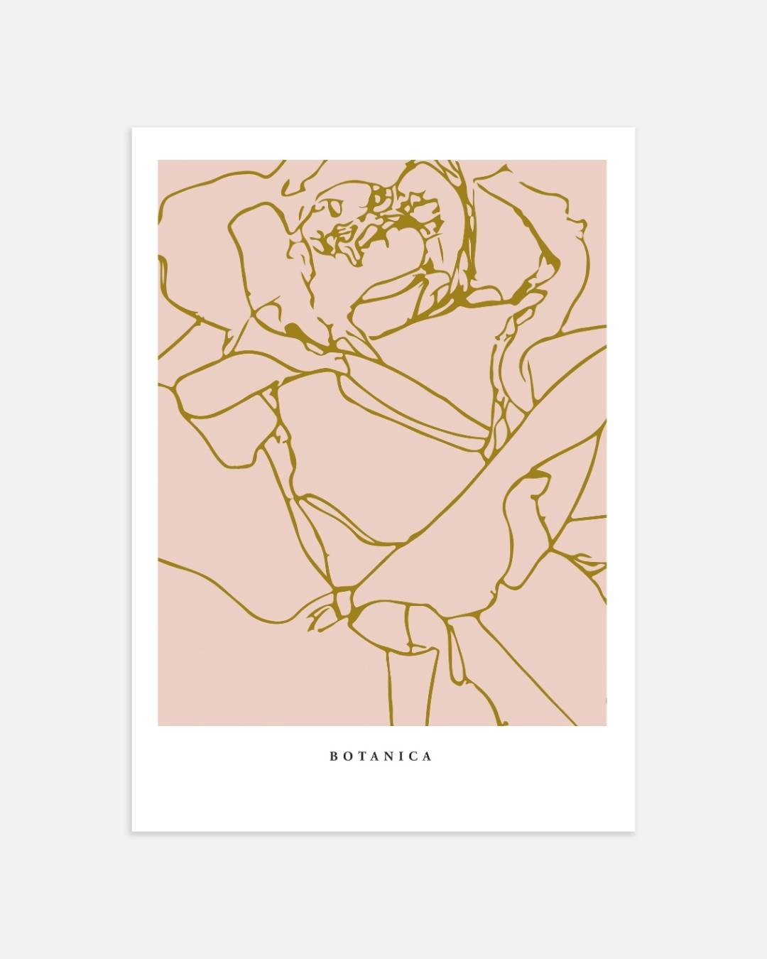 Botanische lijntekening Poster