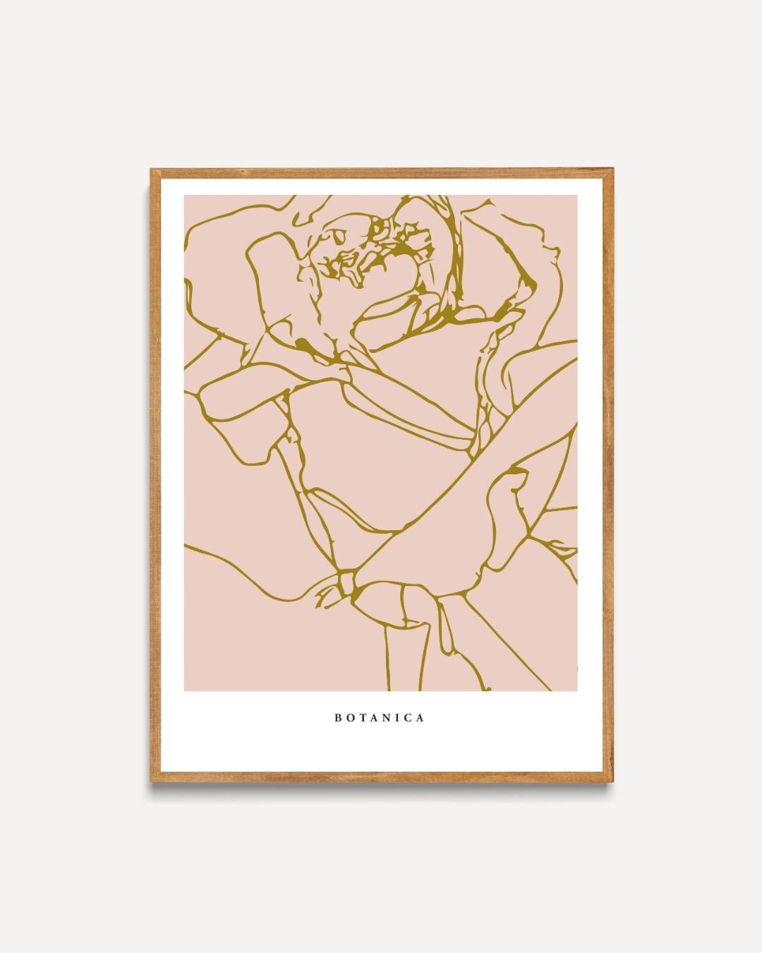 Botanische lijntekening Poster