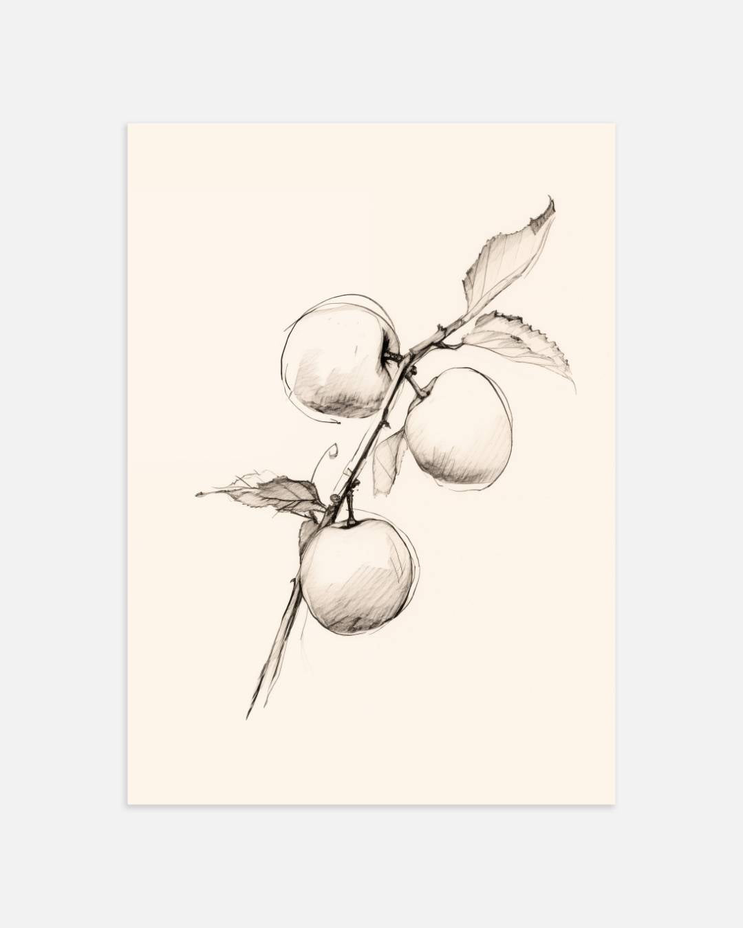 Appels aan tak schets Poster