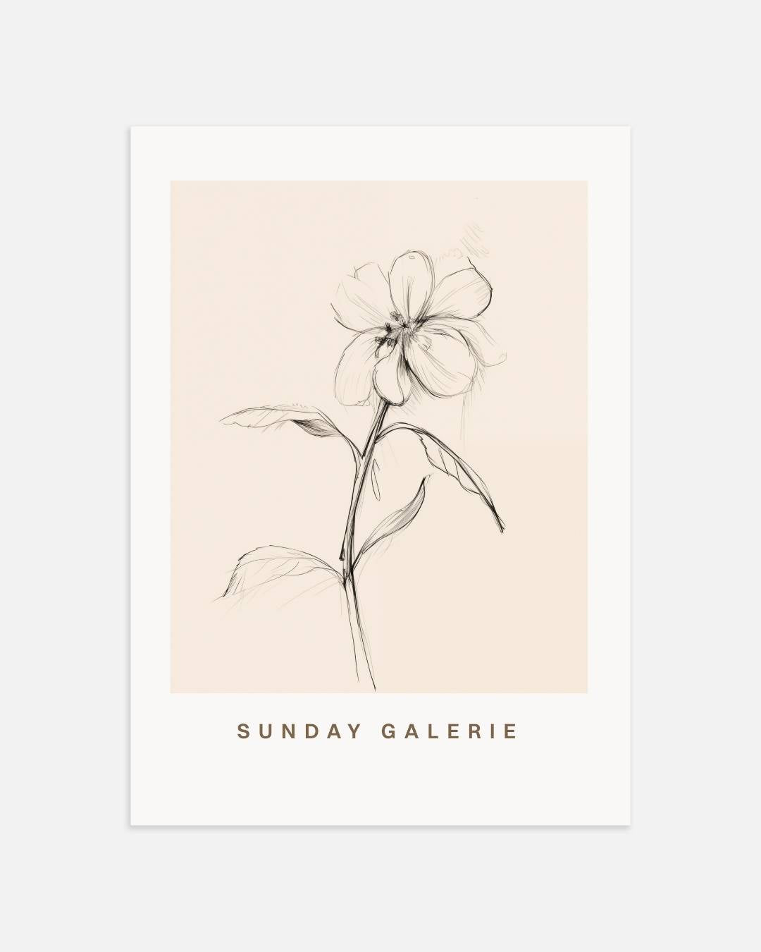 Galerie naturelle botanische schetsbloem Poster