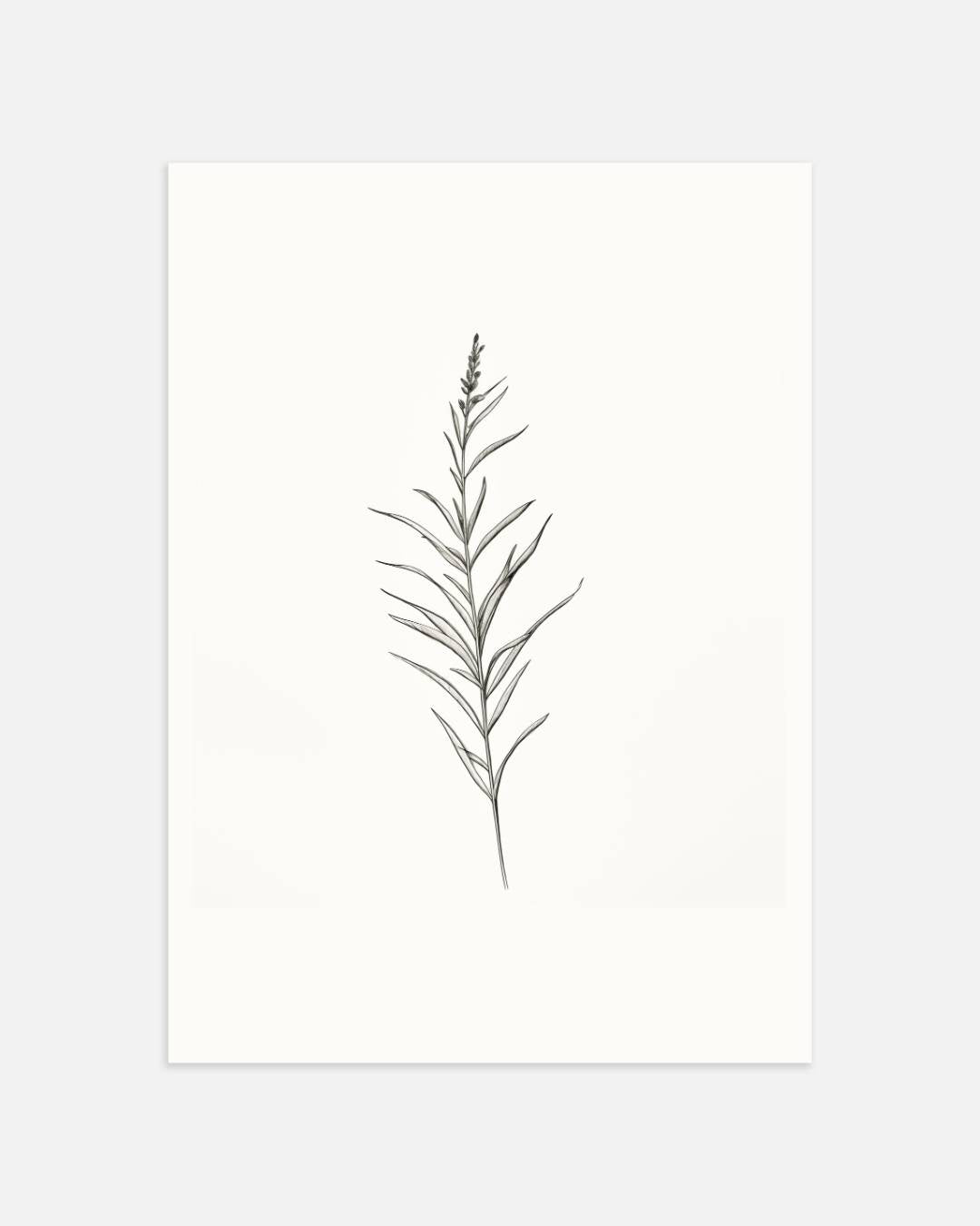 Galerie naturelle botanische tak Poster