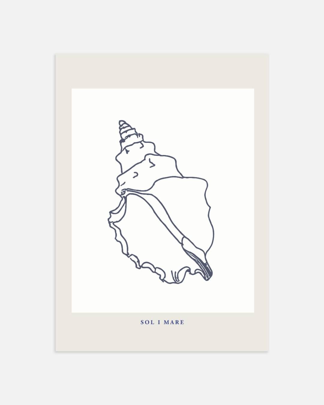 Schelp lijntekening Poster