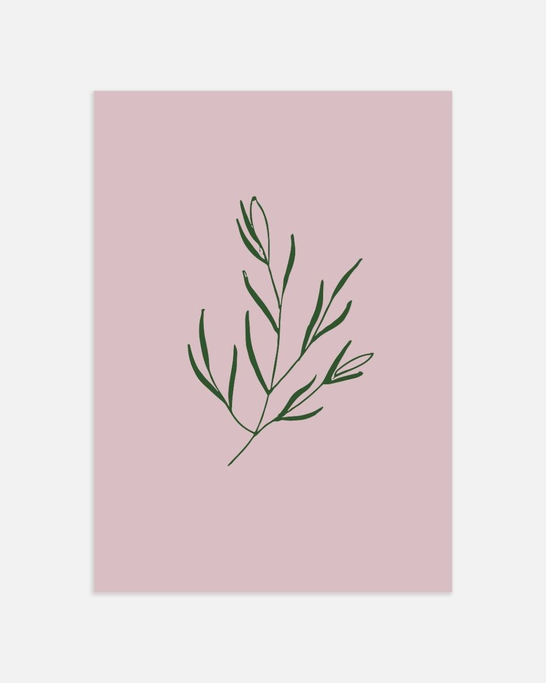 Botanische tak schets Poster