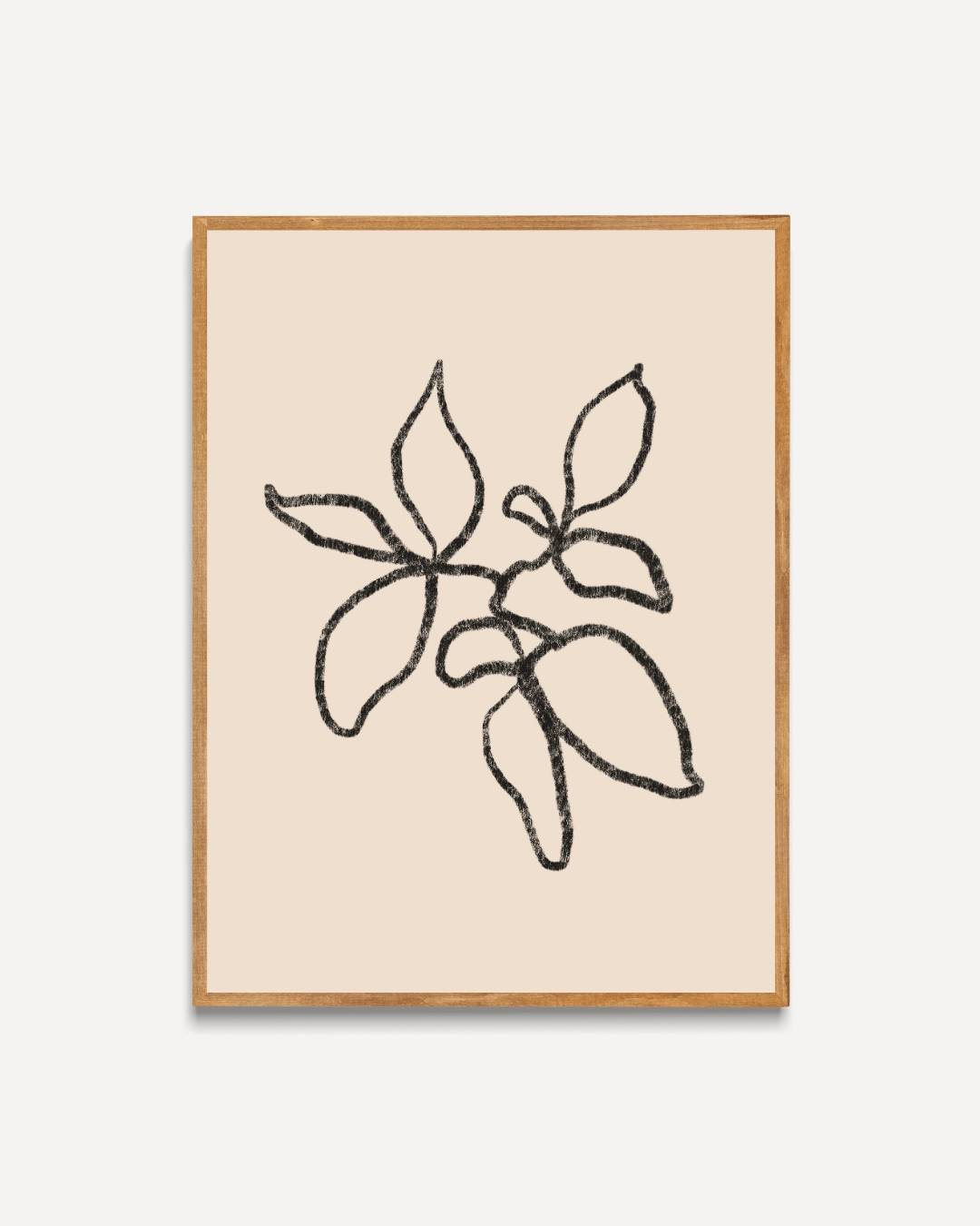 Botanische lijntekening Poster