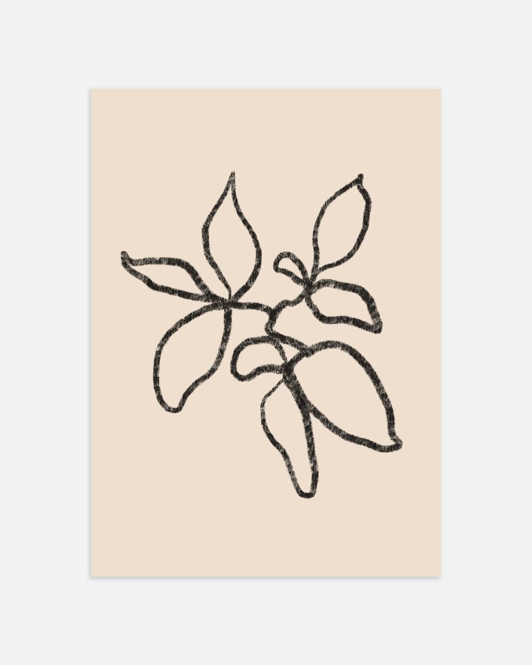 Botanische lijntekening Poster