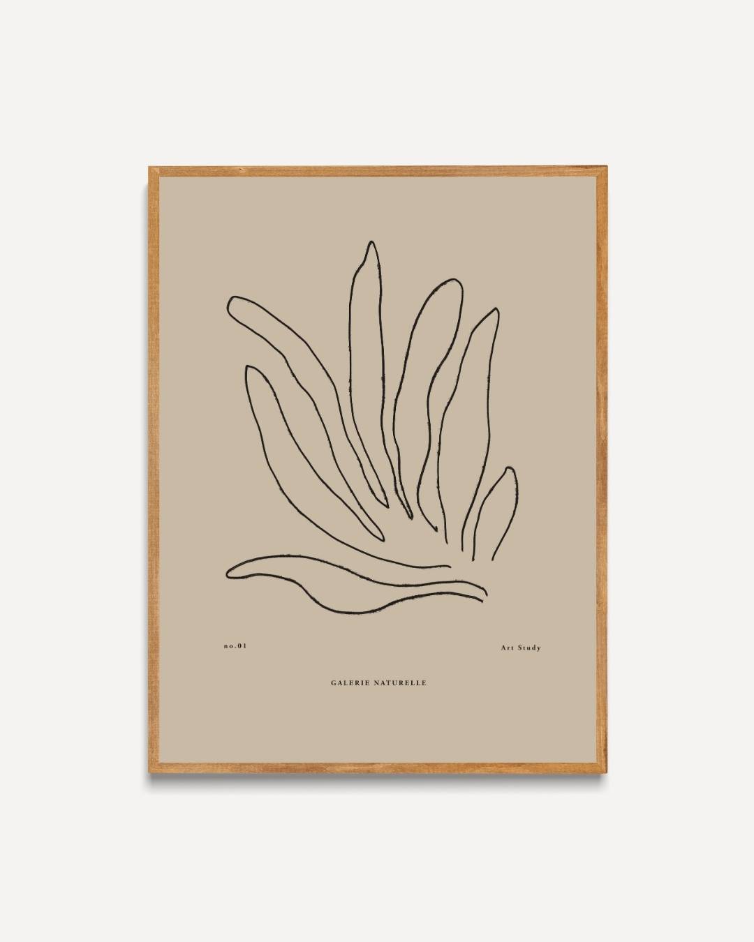 Botanische kunststudie Poster