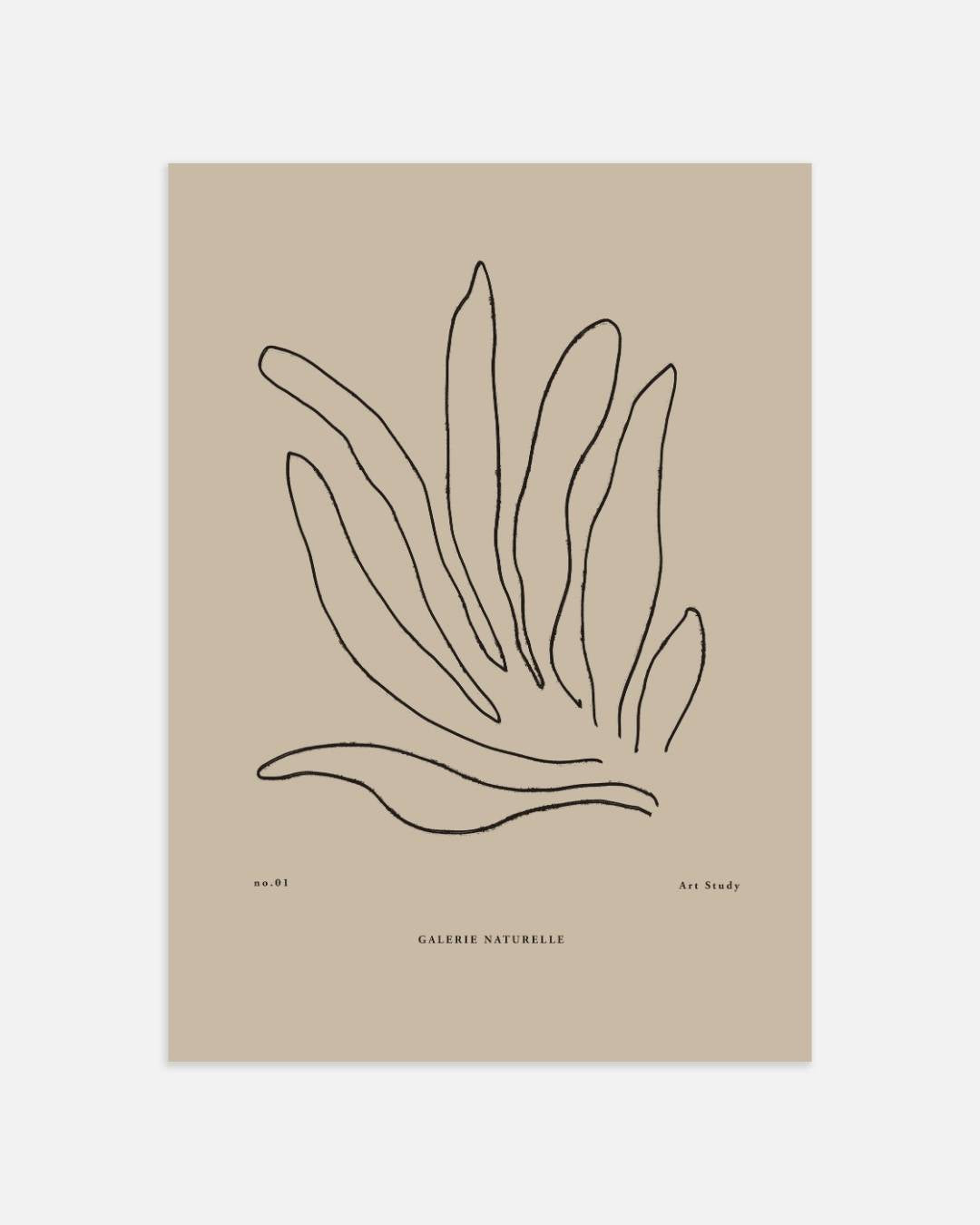 Botanische kunststudie Poster