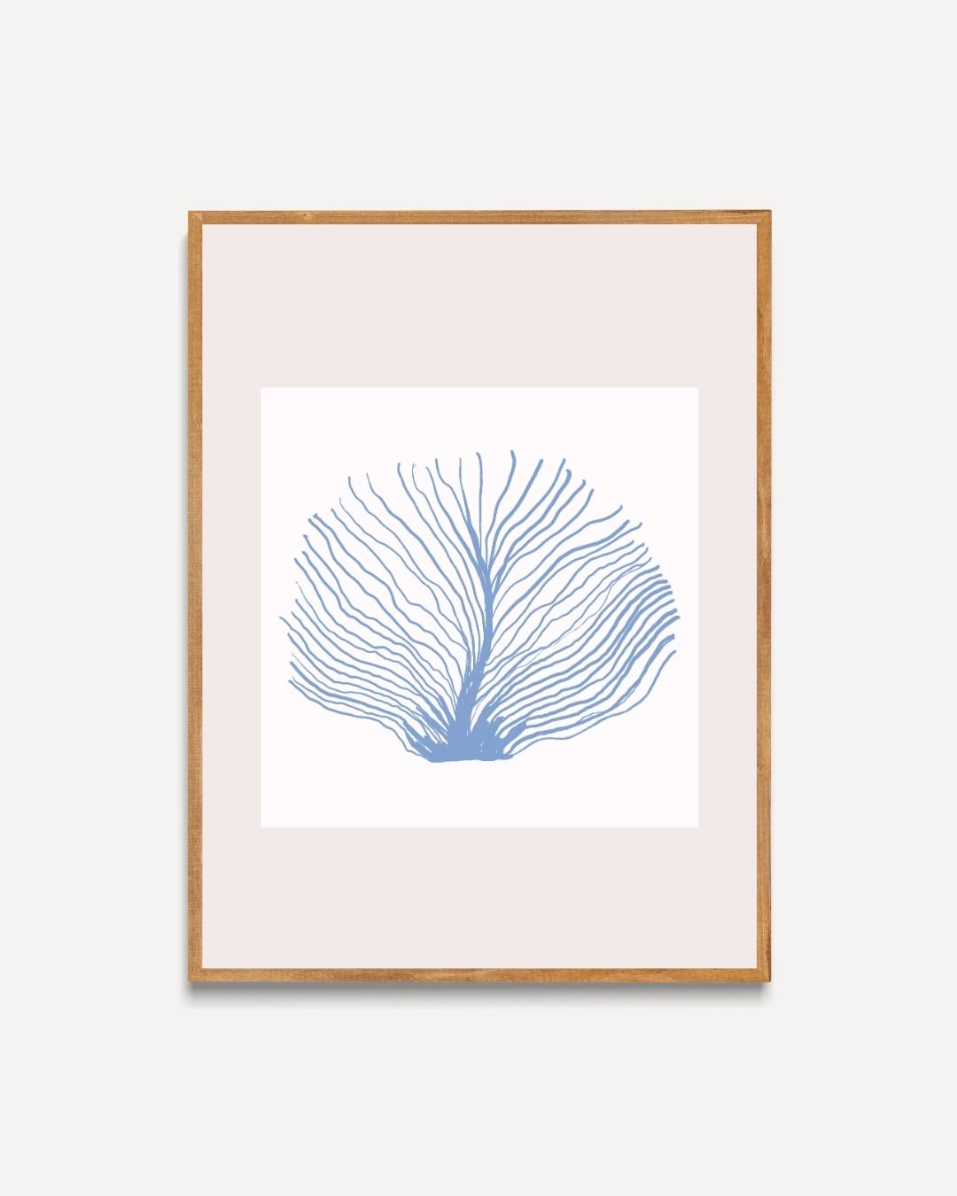 Zeeventilator koraal Poster