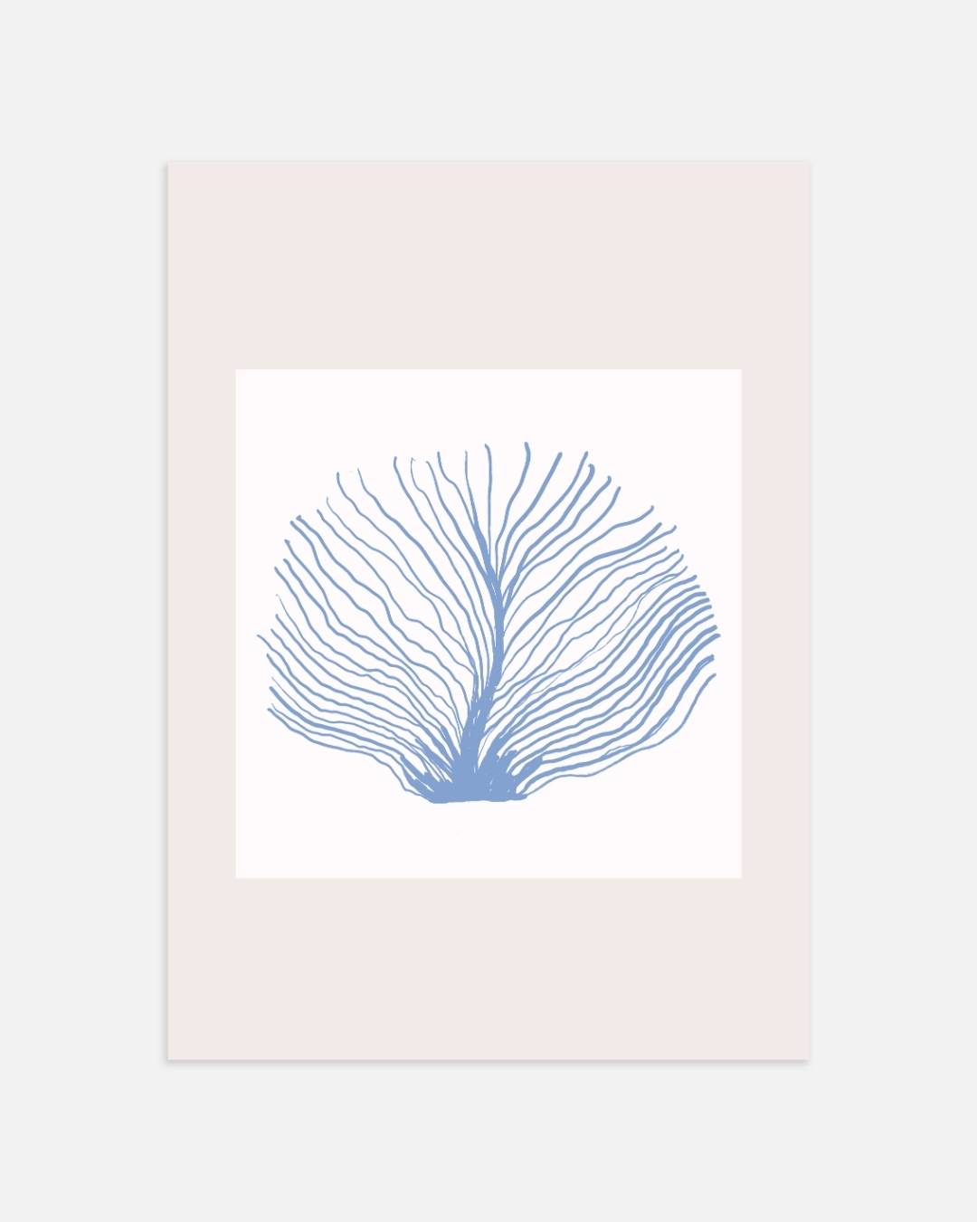 Zeeventilator koraal Poster