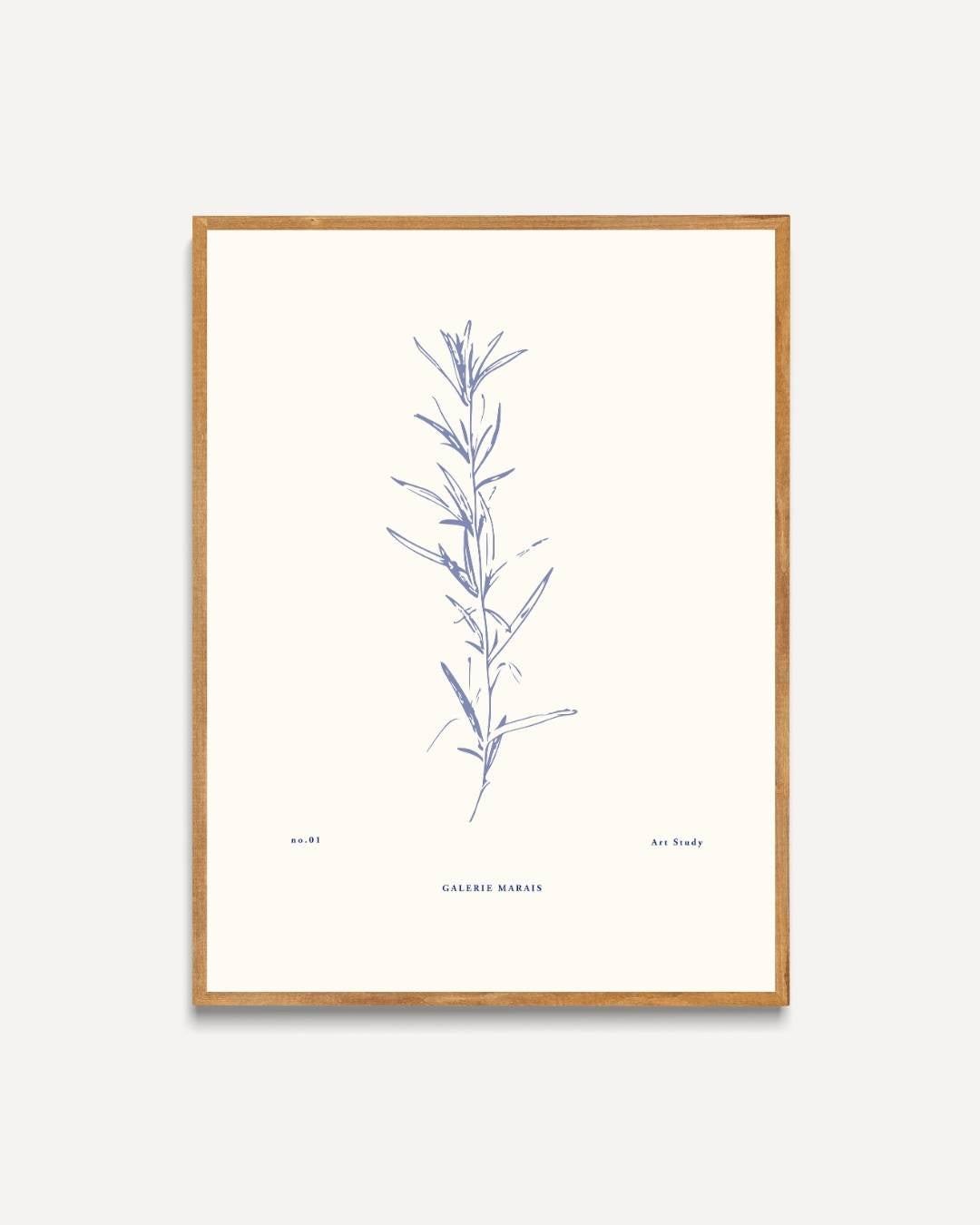 Botanische kunststudie blauw Poster