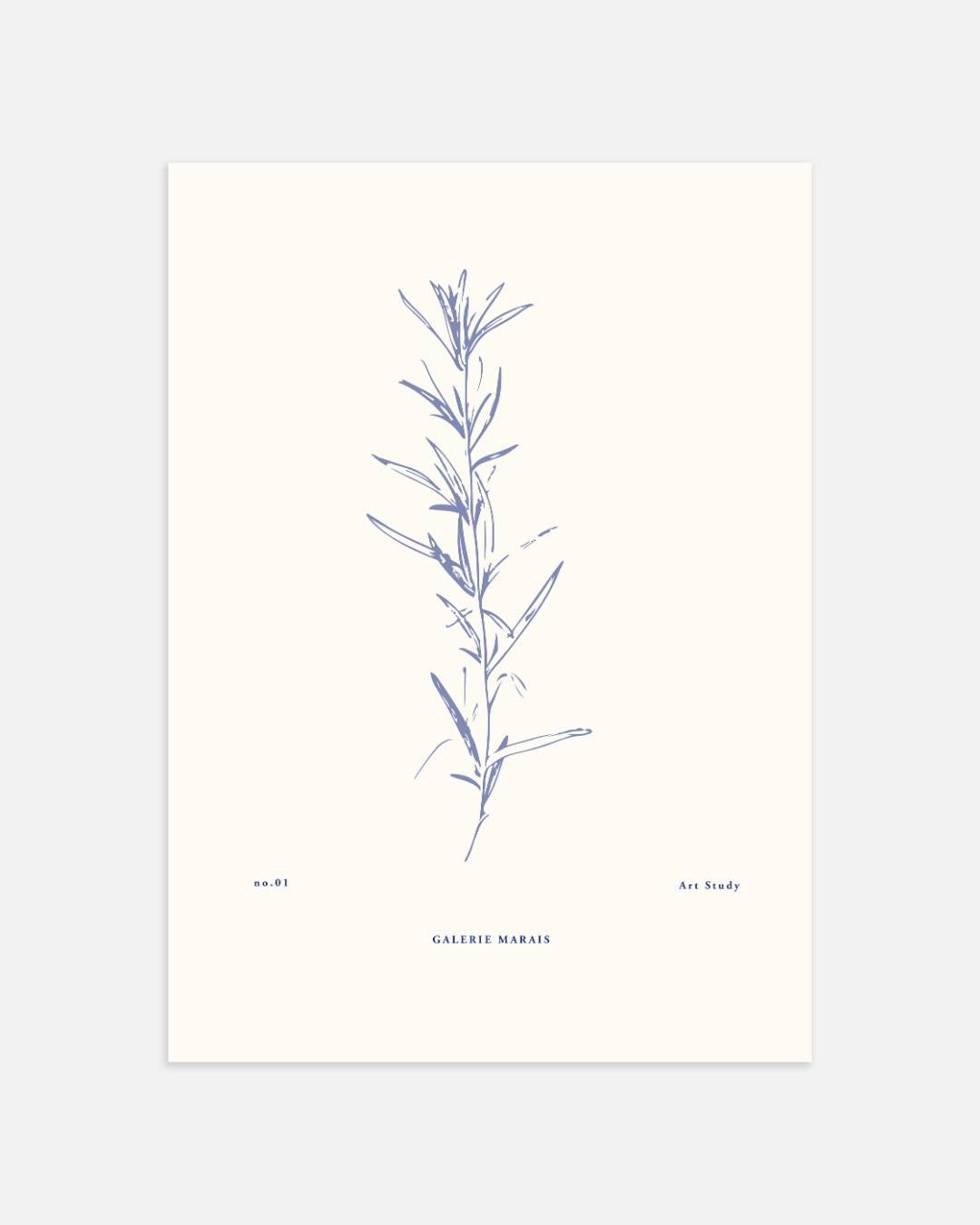 Botanische kunststudie blauw Poster