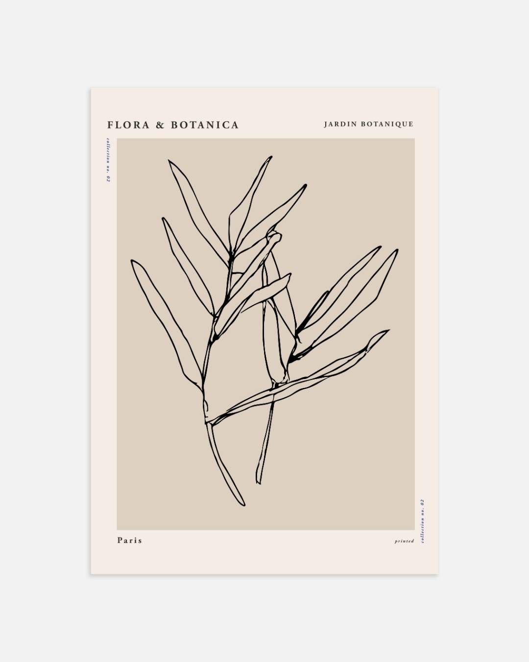 Botanische flower lijnen Poster