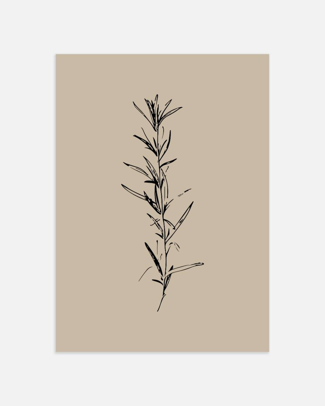 Botanische tak lijntekening Poster