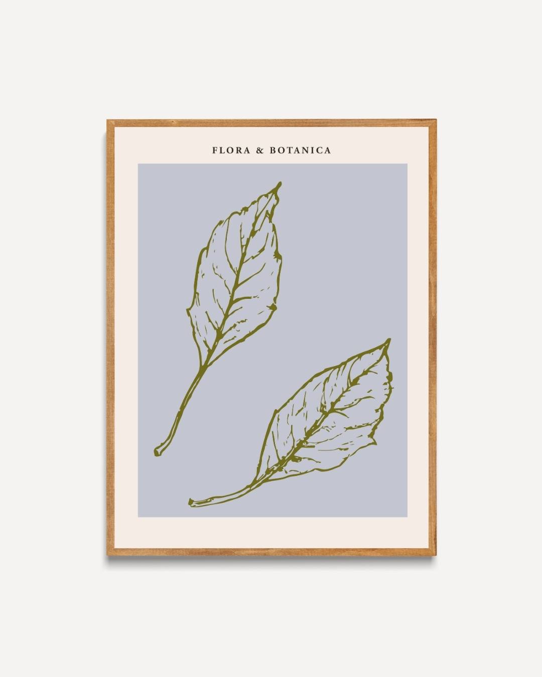 Flora & botanica leaf sketch Poster