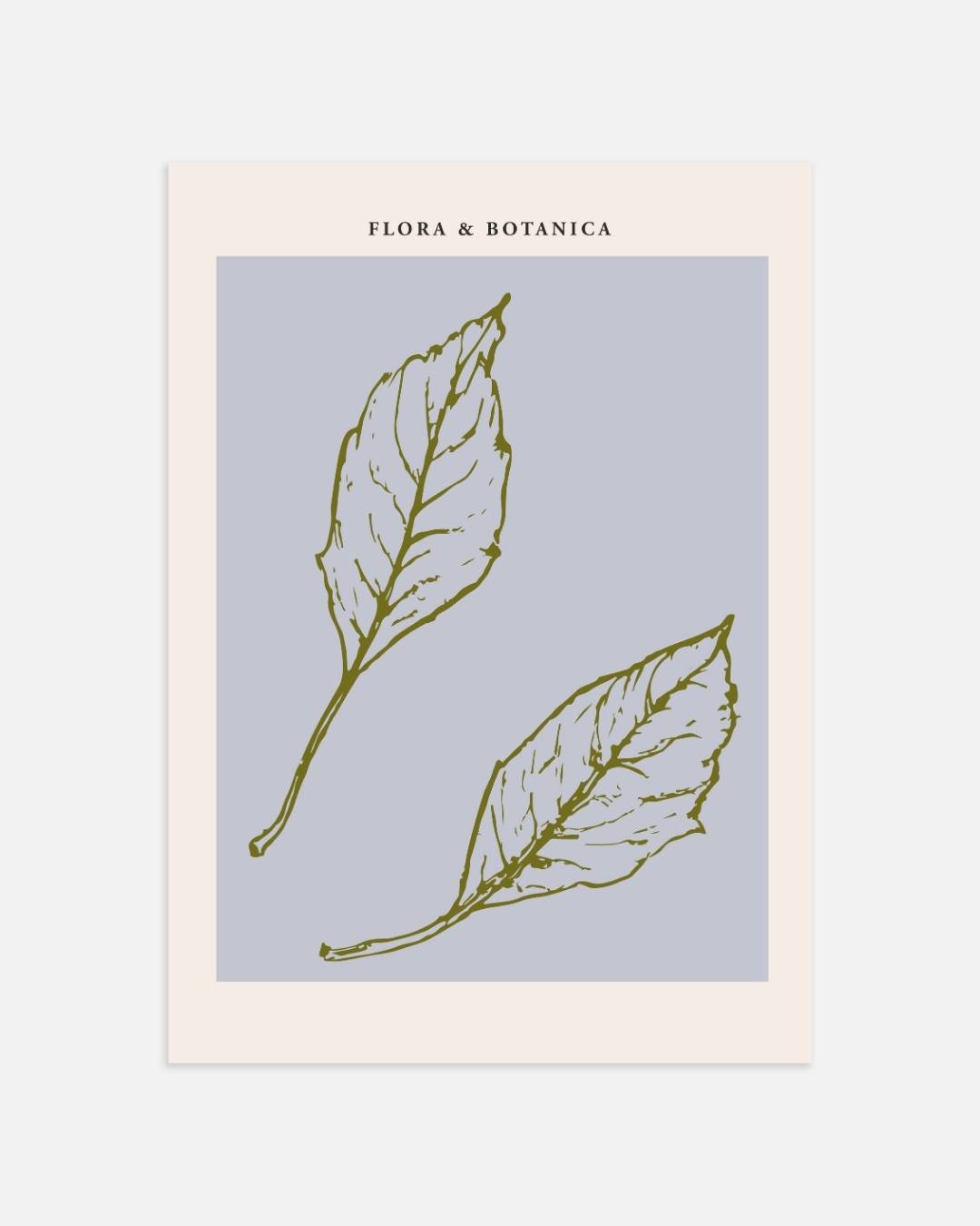 Flora & botanica leaf sketch Poster
