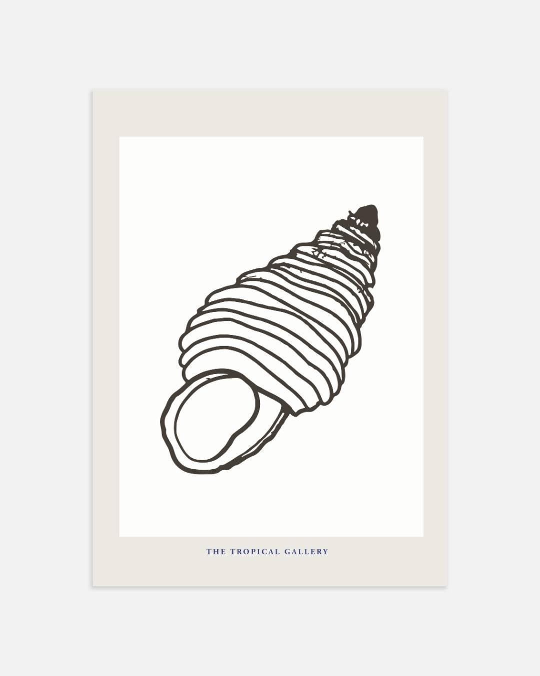 Tropische schelp Poster