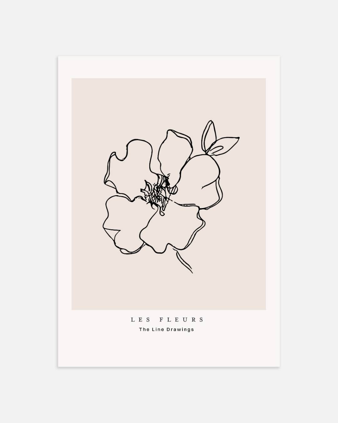 Wildbloemen lijntekening Poster