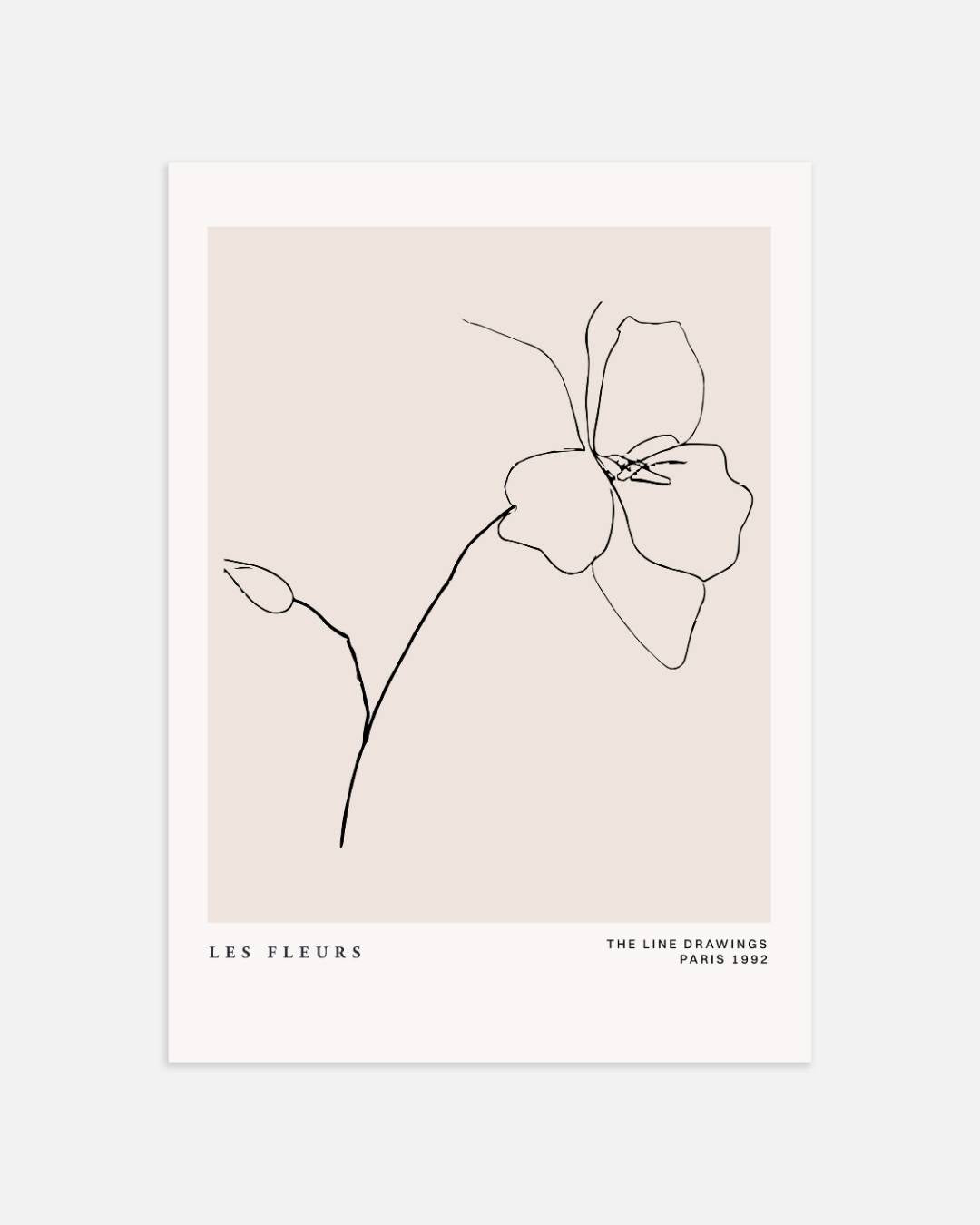 Elegante bloesem Poster