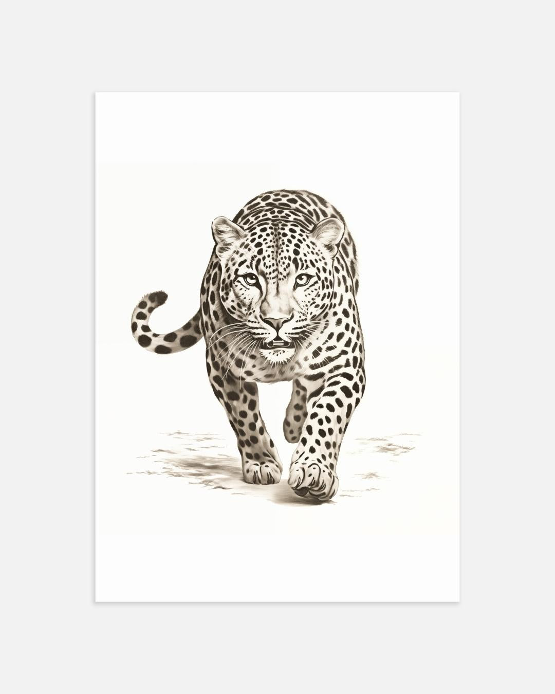 Luipaard in Zwart-Wit Poster