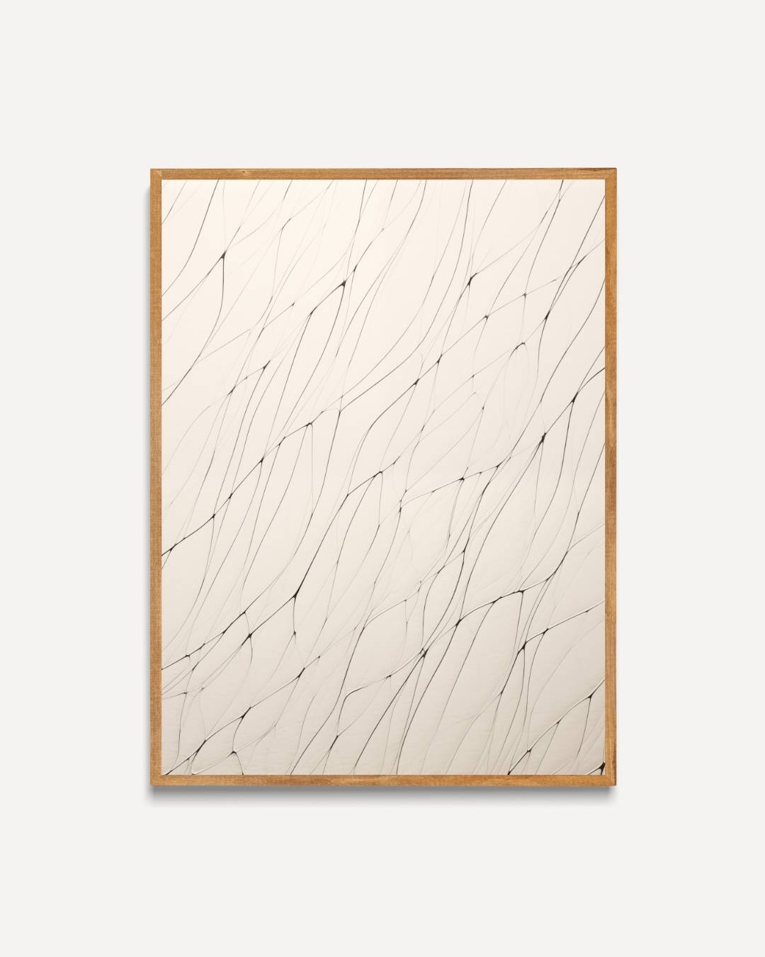 Organische lijnstructuur Poster