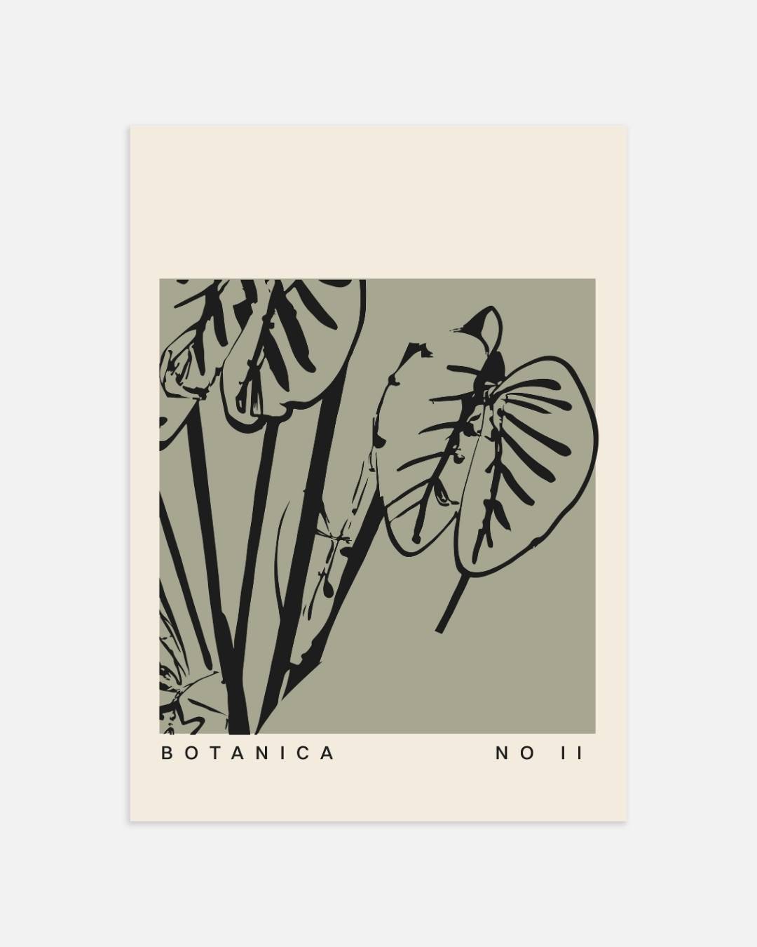 Botanica no 11 Poster