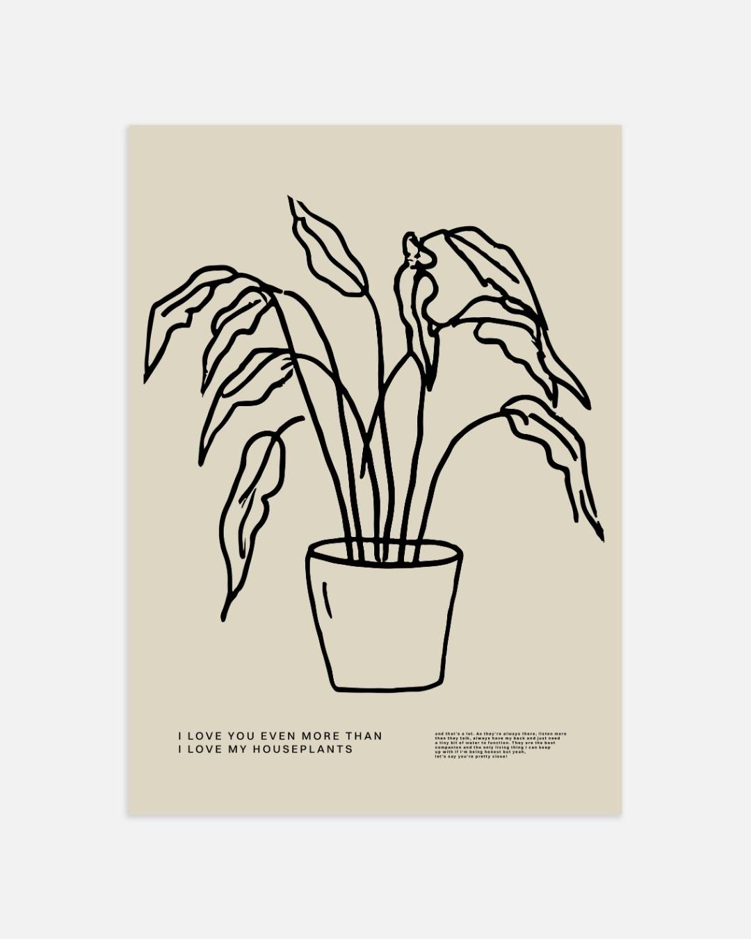 Kamerplant Poster