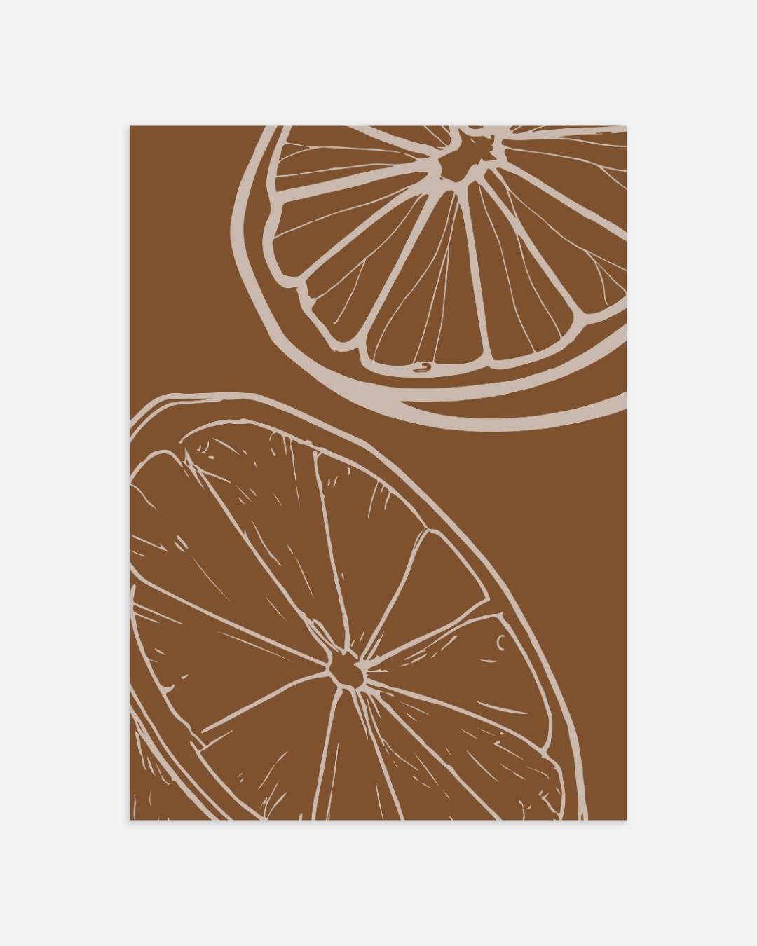 Citrus Slices Poster