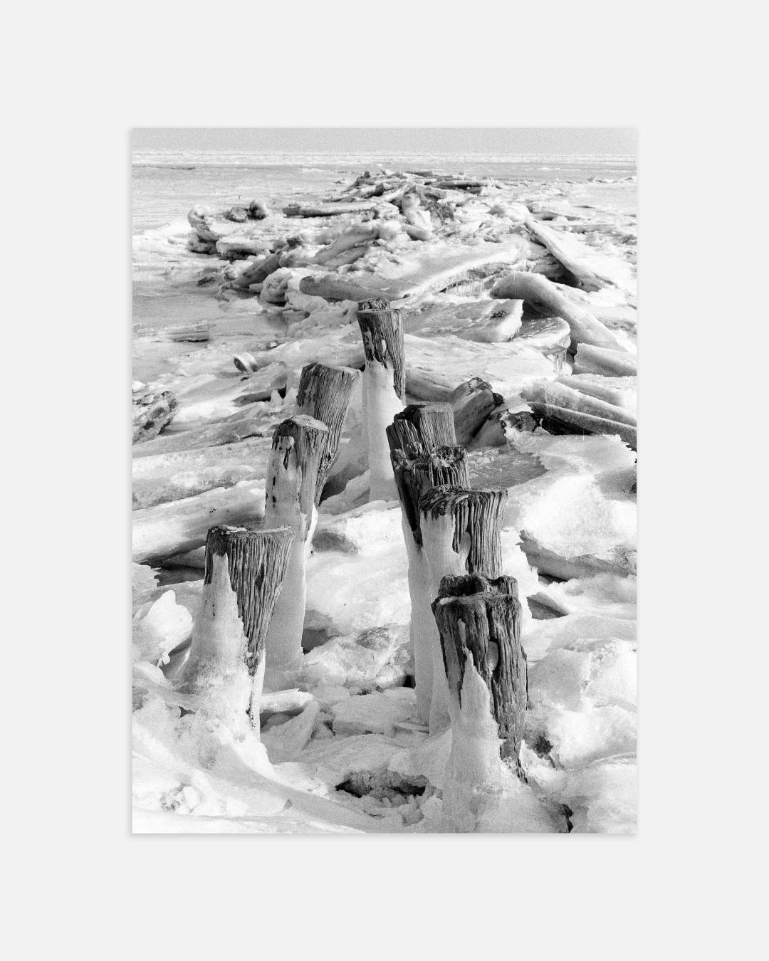 Bevroren landschap met houten palen Poster