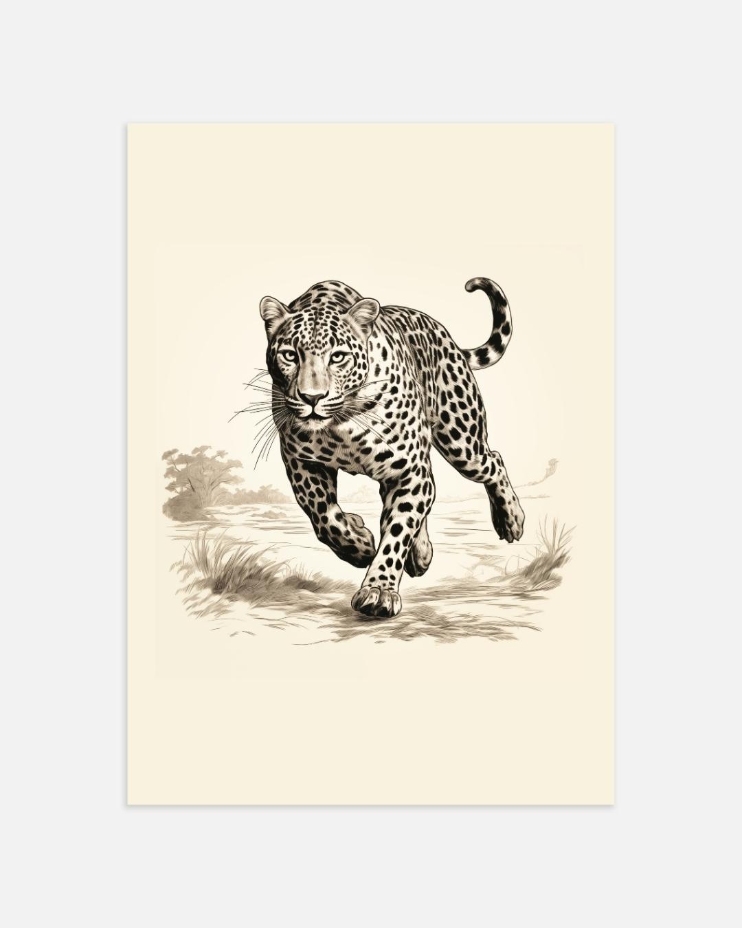 Luipaard in actie Poster